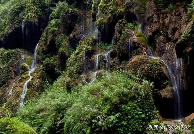 “只为你而来”走进激扬的时代 “全国旗袍·诗歌春晚”喜庆典雅